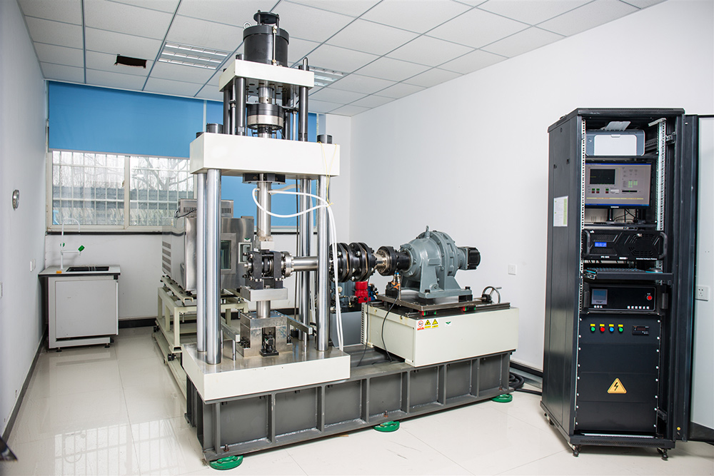 നക്കിൾ-ബെയറിംഗ്-സ്വിംഗ്-ടെസ്റ്റ്